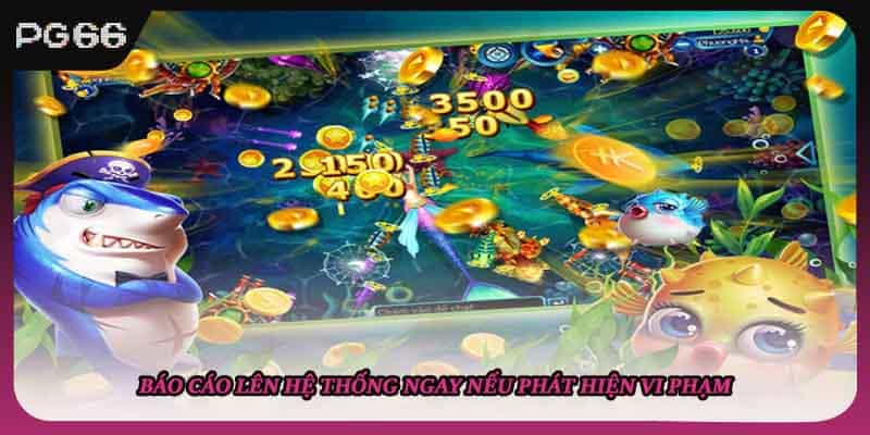 Báo cáo lên hệ thống ngay nếu phát hiện vi phạm