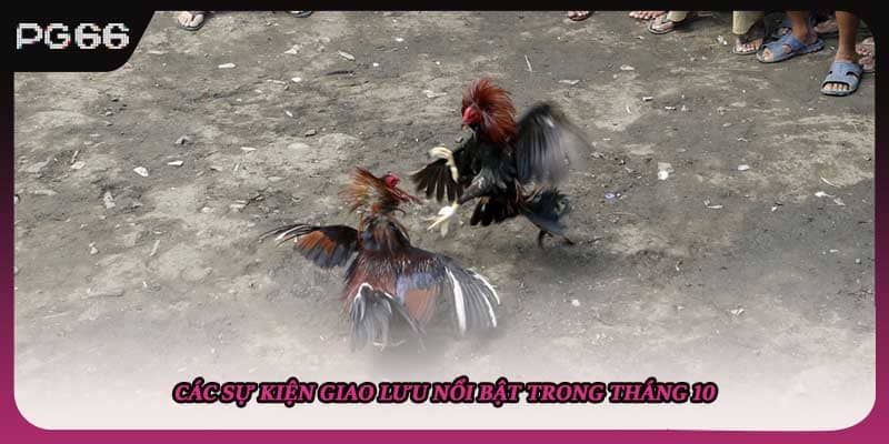 Các sự kiện giao lưu nổi bật trong tháng 10 Các sự kiện giao lưu nổi bật trong tháng 10