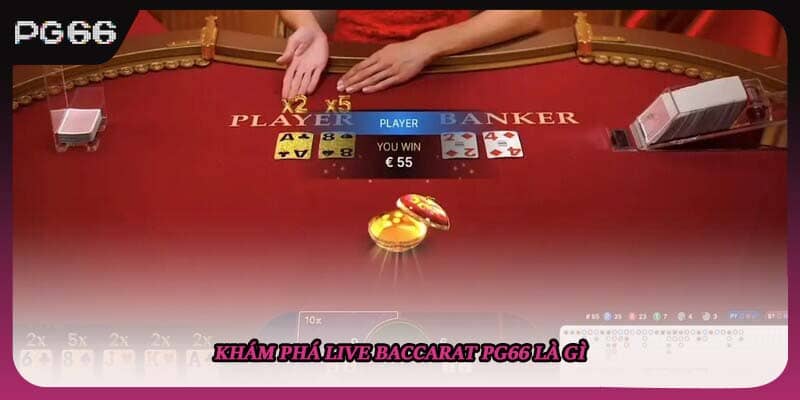 Khám phá live baccarat PG66 là gì Khám phá live baccarat PG66 là gì