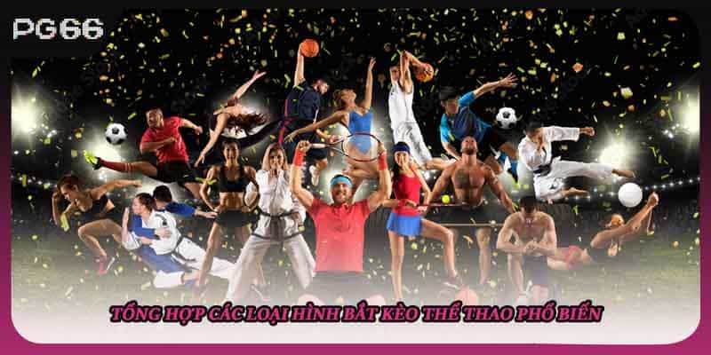 Tổng hợp các loại hình bắt kèo thể thao phổ biến Tổng hợp các loại hình bắt kèo thể thao phổ biến